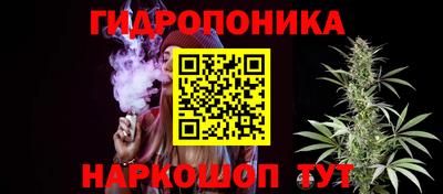 крисы Волжский