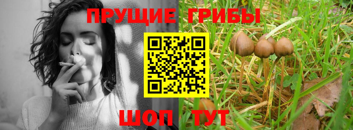 Заринск  Галлюциногенные грибы Psilocybe  Вход с VPN  Псилоцибиновые грибы мухоморы 